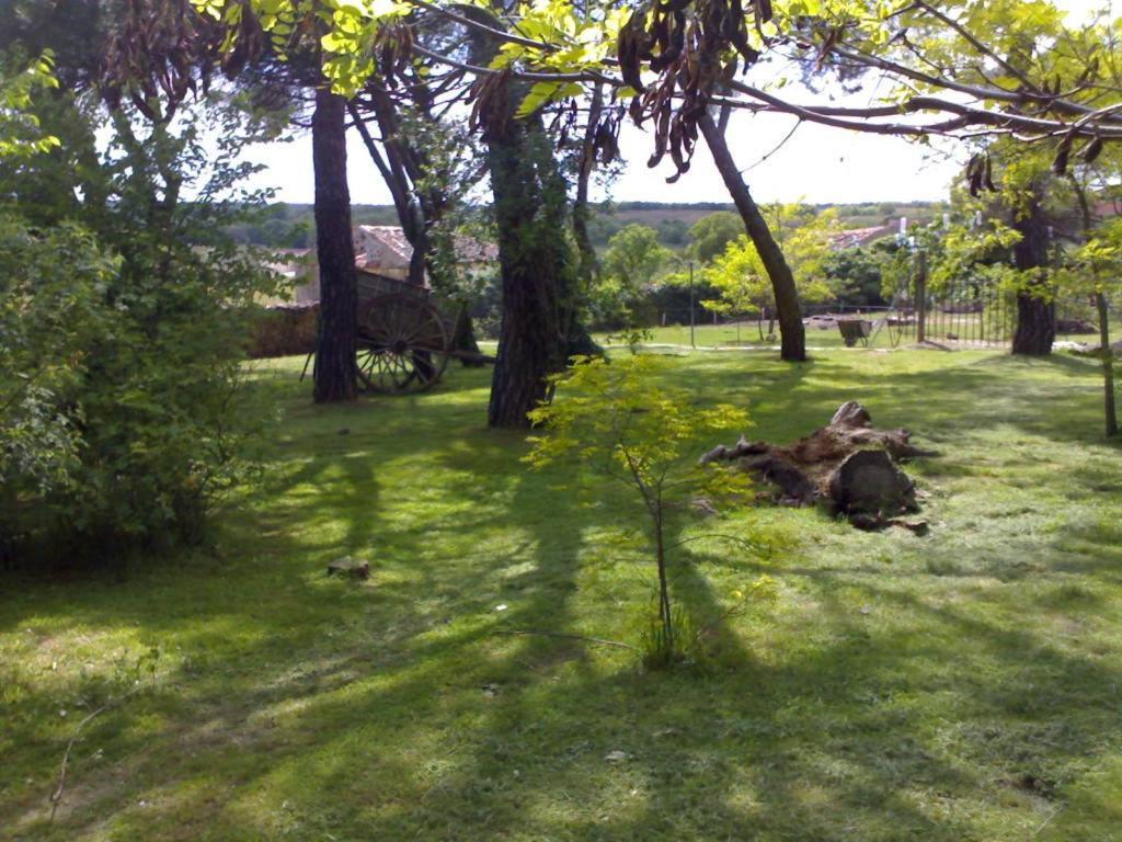 El Senorio De La Serrezuela Aldeanueva de la Serrezuela ภายนอก รูปภาพ